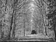 result_IMG_20260306_142037