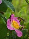 IMG_20260608_095029