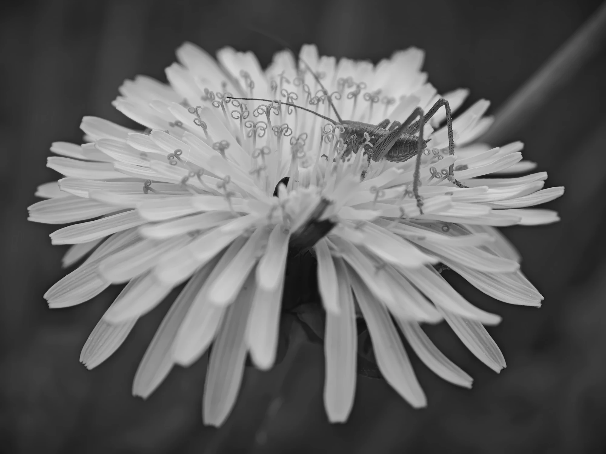 IMG_20260517_150111