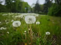 IMG_20260508_100041
