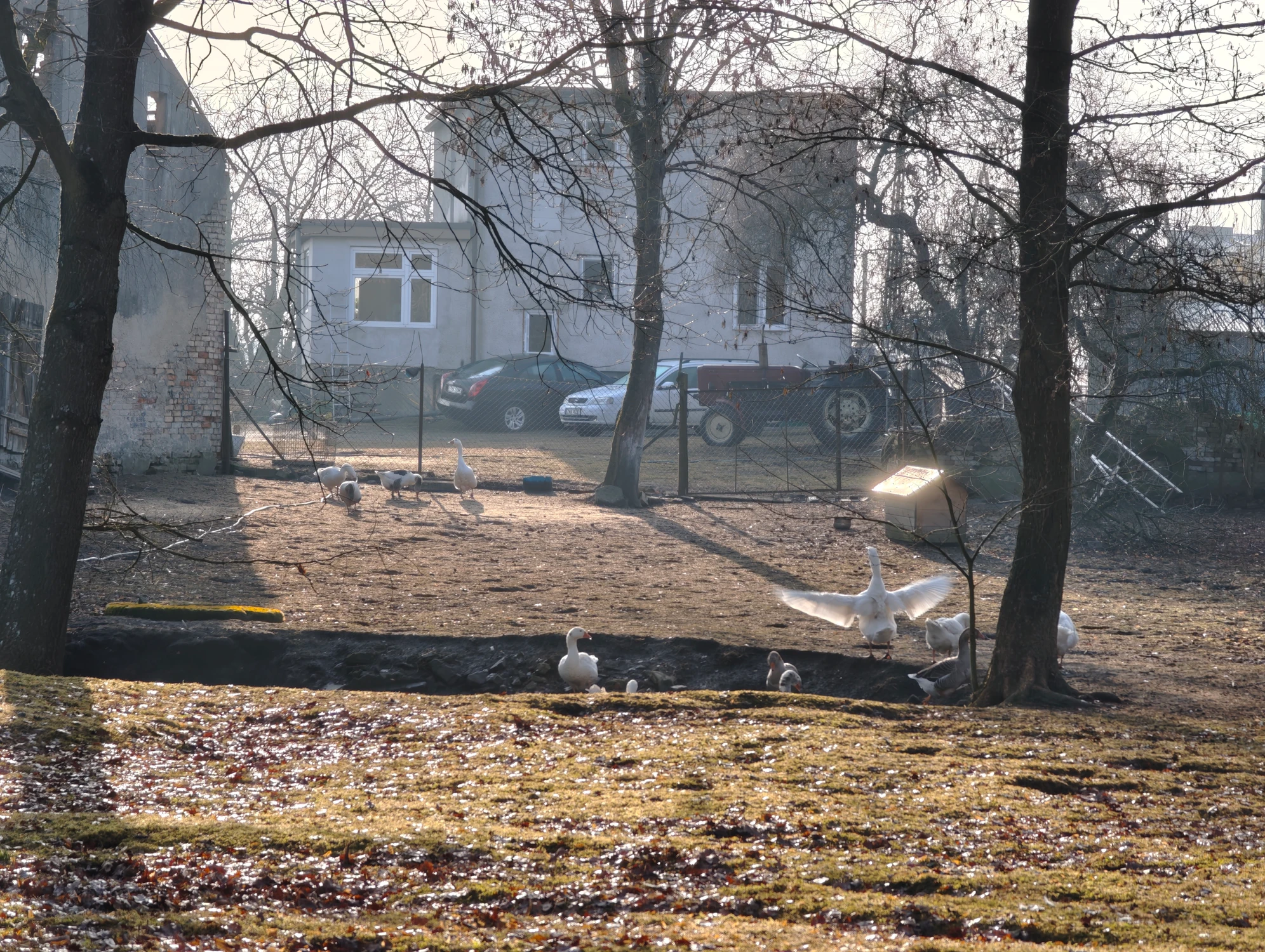 IMG_20260311_081651_1