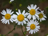 IMG_20260608_095835
