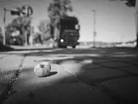 IMG_20260730_093502
