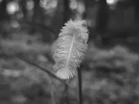 IMG_20260522_073730