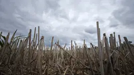 MVIMG_20260823_130000