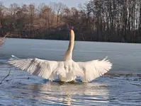 IMG_20260309_141043_3