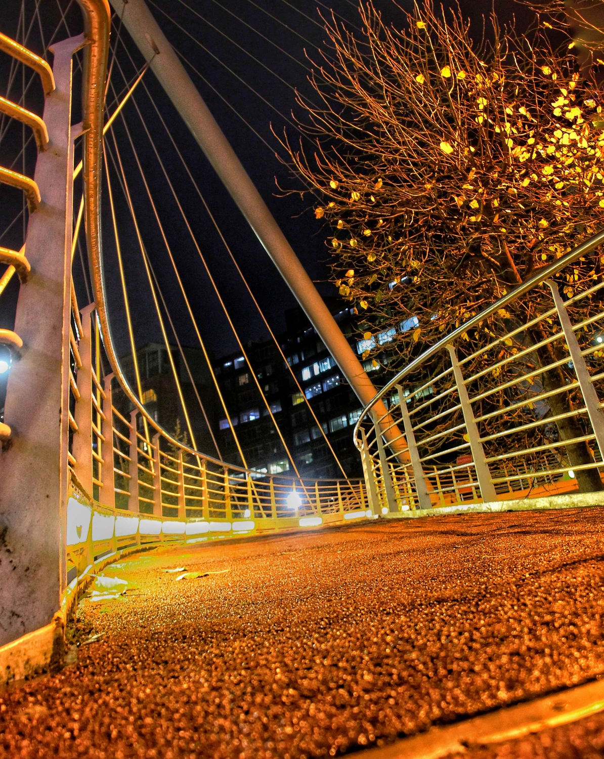 Trinity bridge nocą