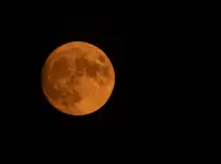 TRUSKAWKOWY KSIĘŻYC