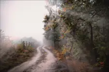 Mgła przyciśnięta słońcem