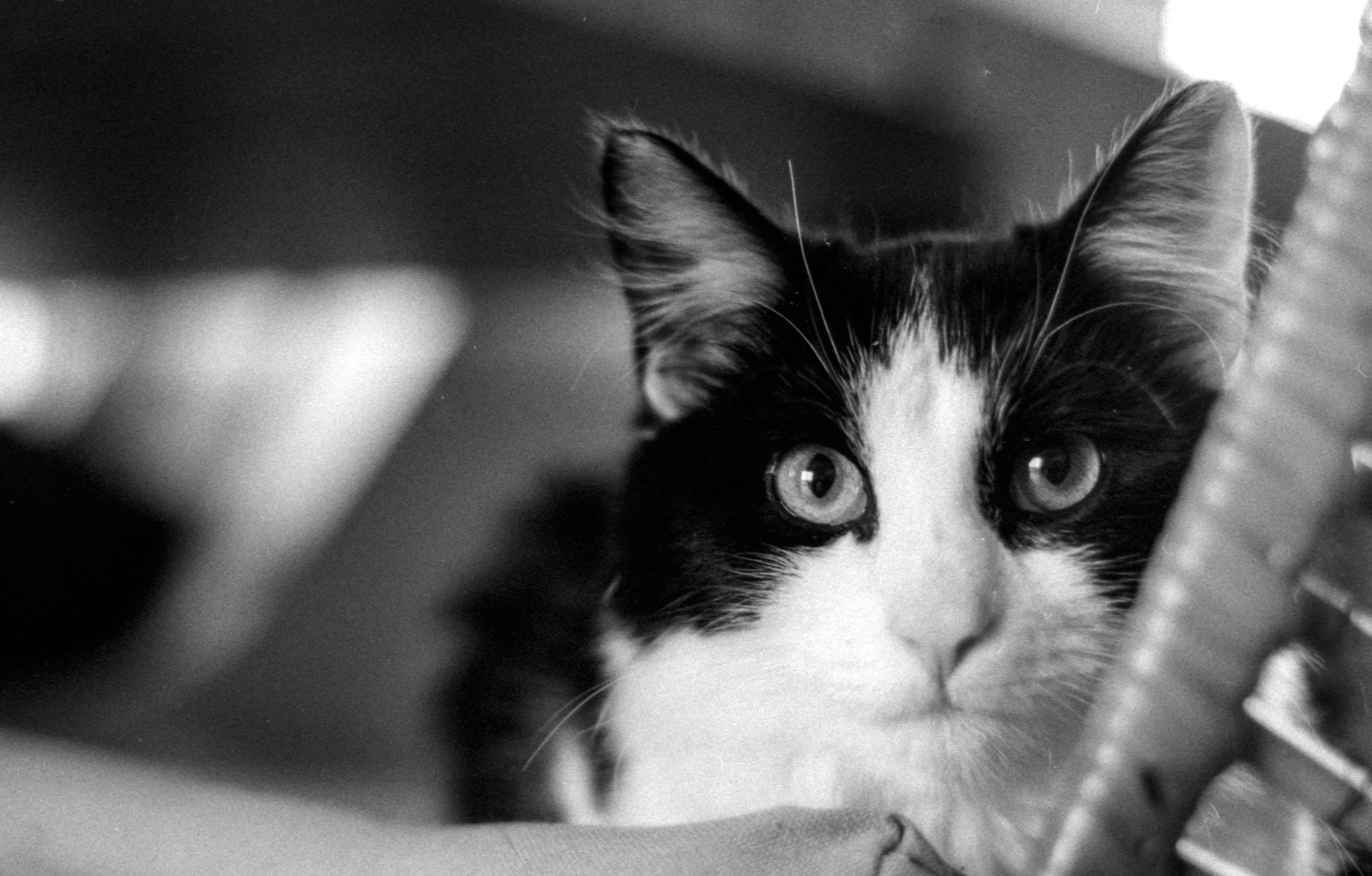 To z niecierpliwości!