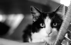 To z niecierpliwości!