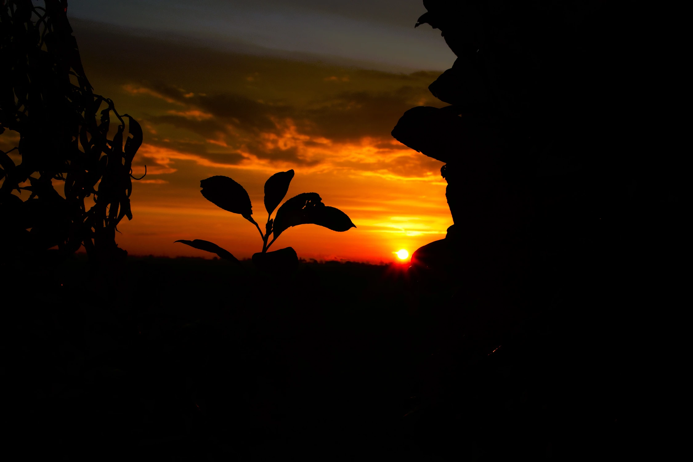 Fotka o poranku Nieuw-Vennep