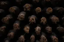Mileştii Mici_01