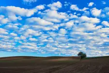 Pierwszy blask wschodzącego  słońca