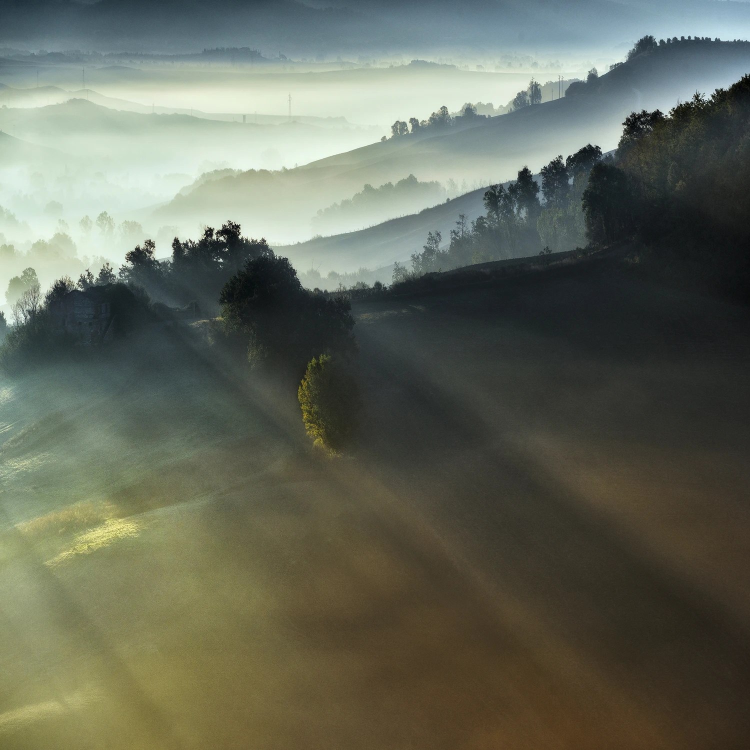 "MIĘDZY ŚWIATŁEM A CISZĄ"