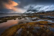 "PAMIĘĆ CHŁODU I ŚWIATŁA"