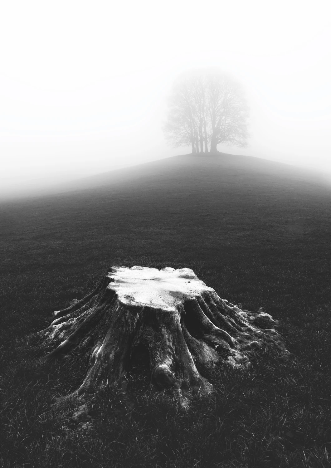 The presence of absence