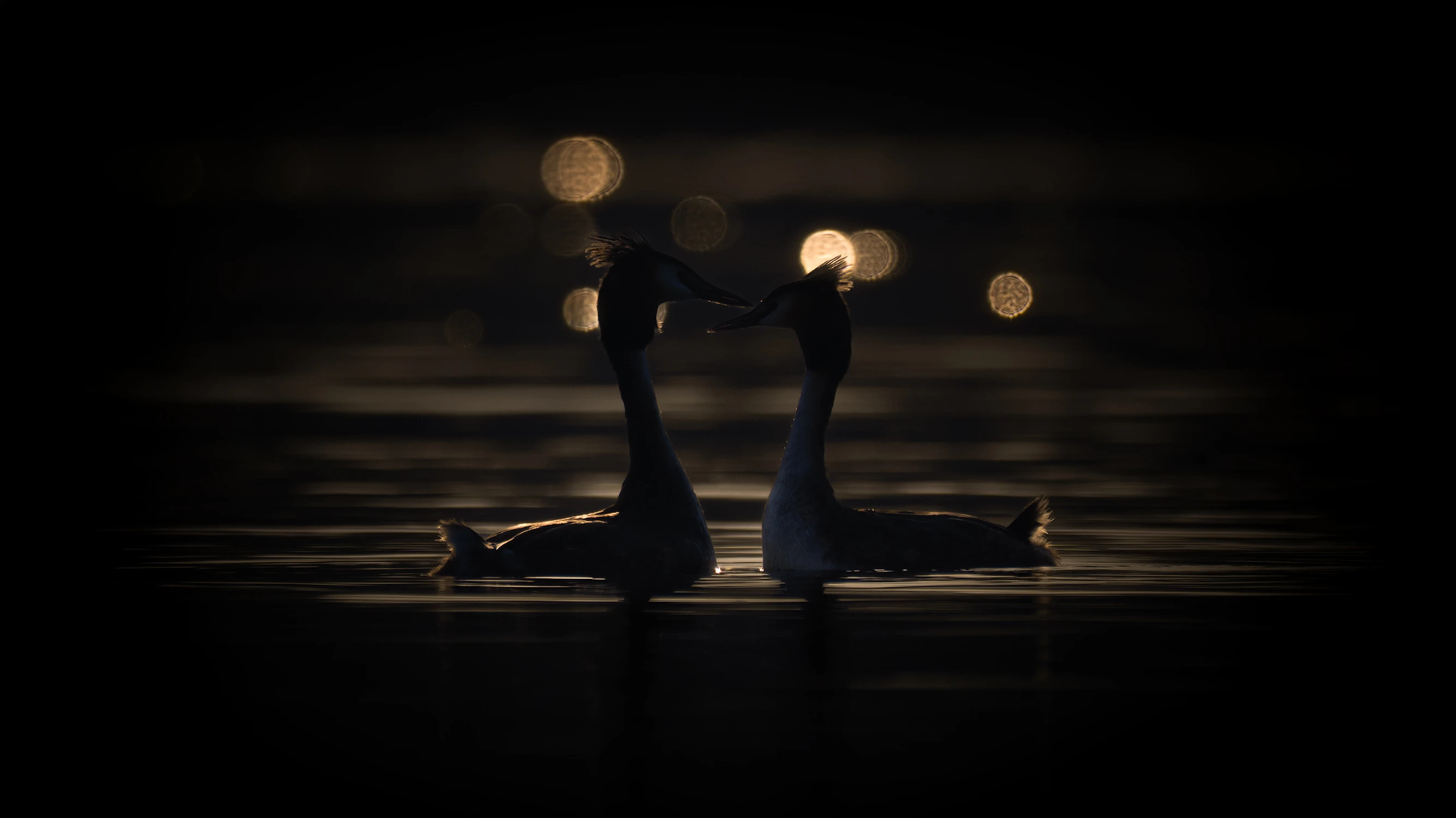 Uteatralizowany instynkt