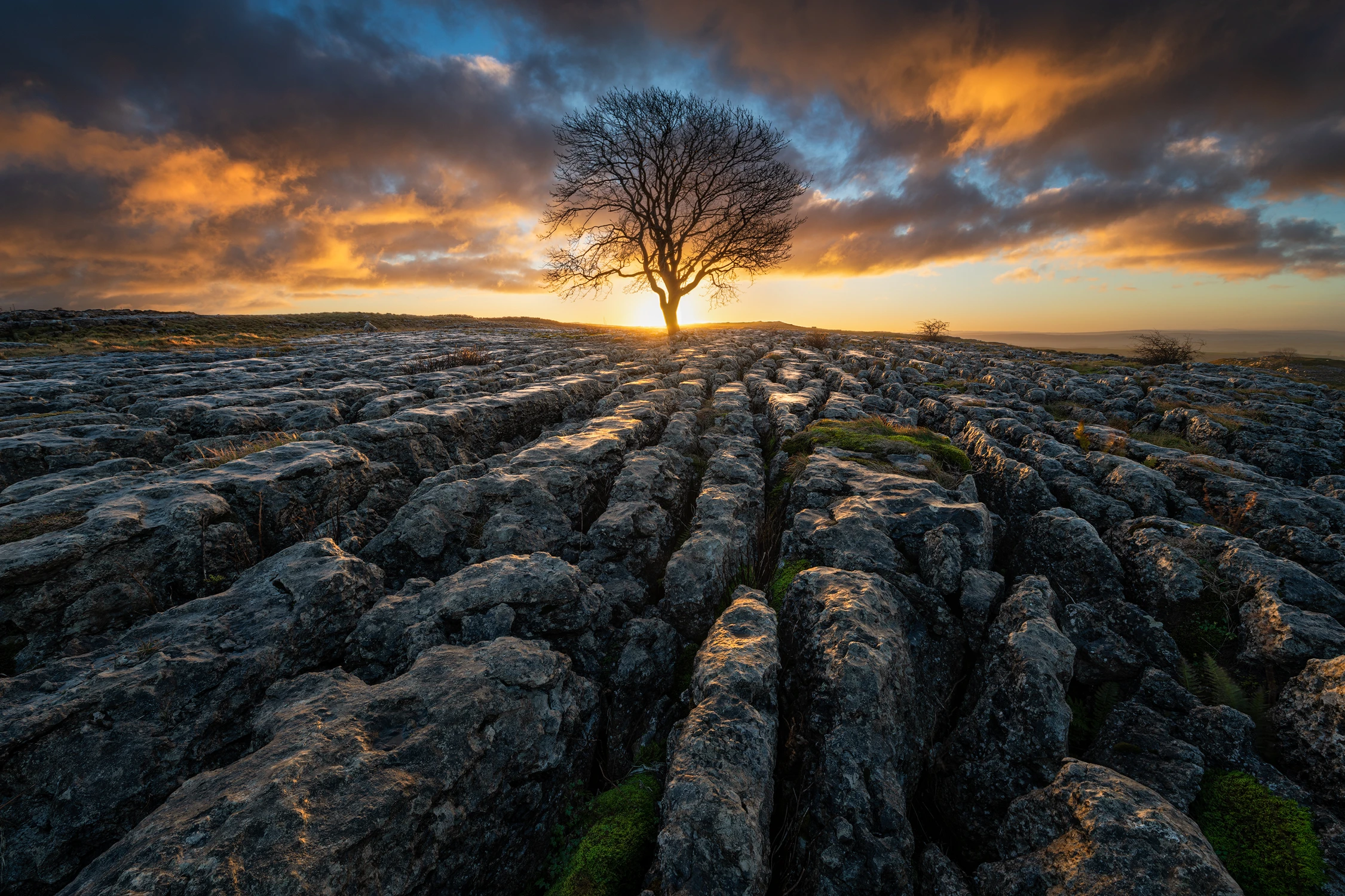 Loner from Malham