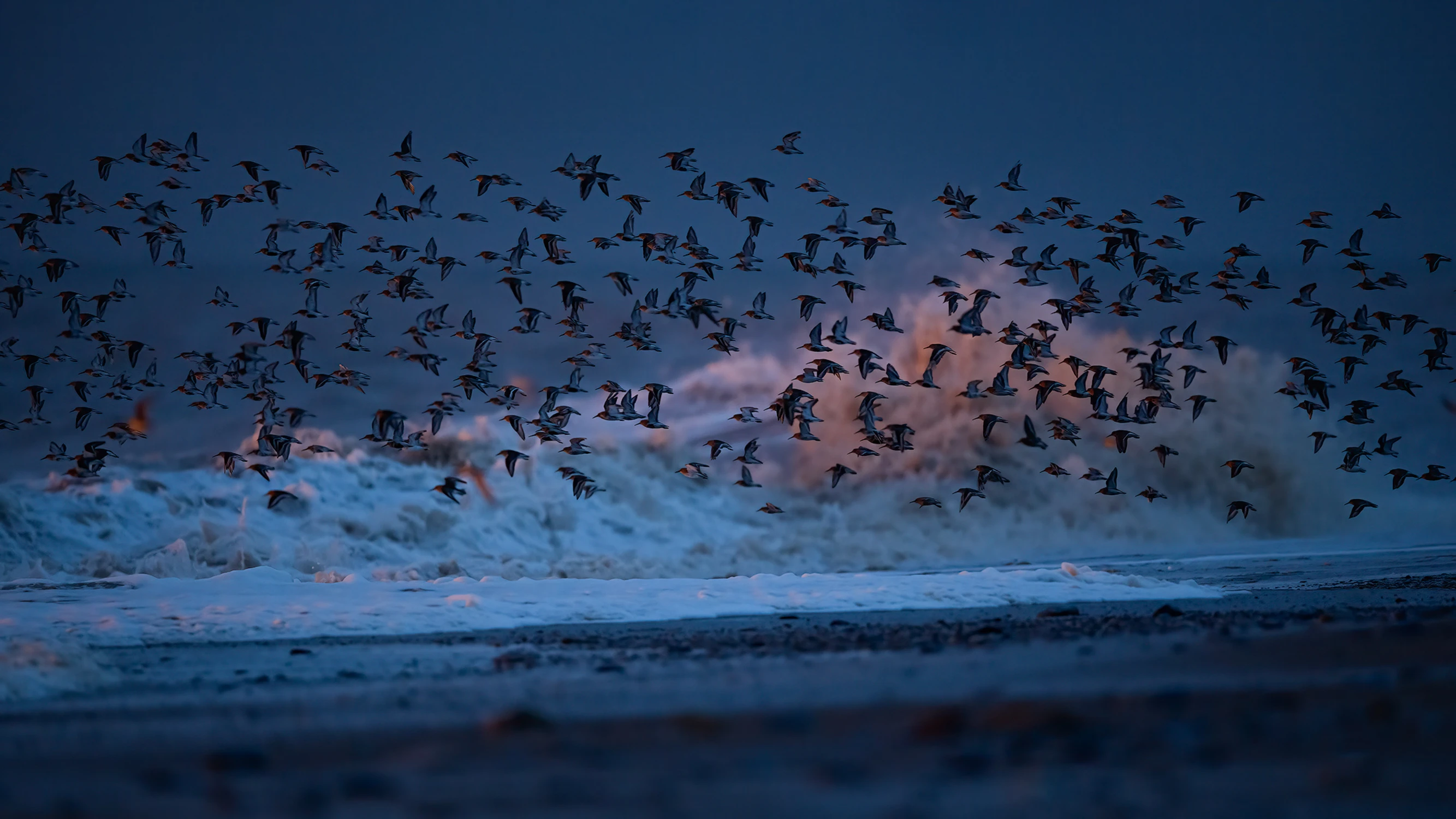 Riders of the storm