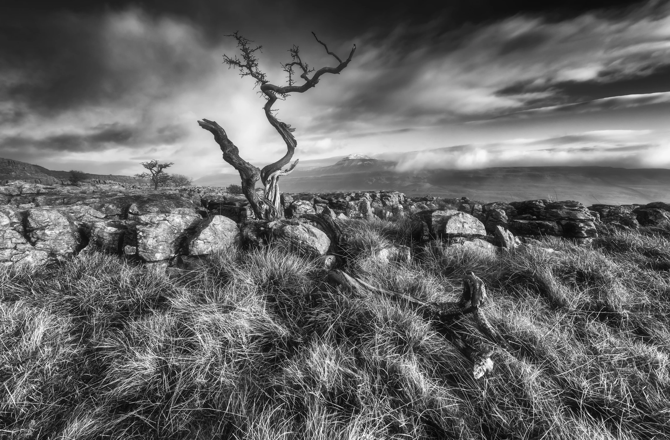 Gdzieś ponad dolinami