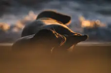 Witając nowy dzień