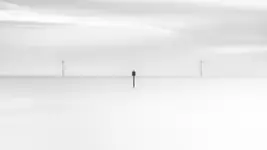 O mewie na koszyku i o dwóch wiatrakach