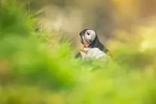 O związkach chemicznych zachodzących