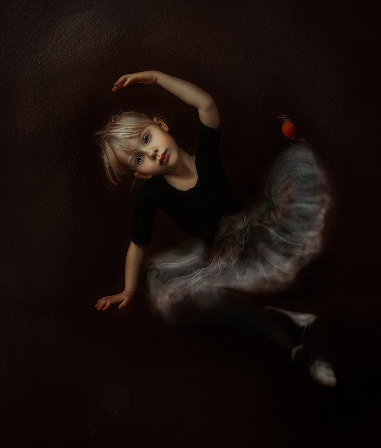 zasiane sny wykiełkują