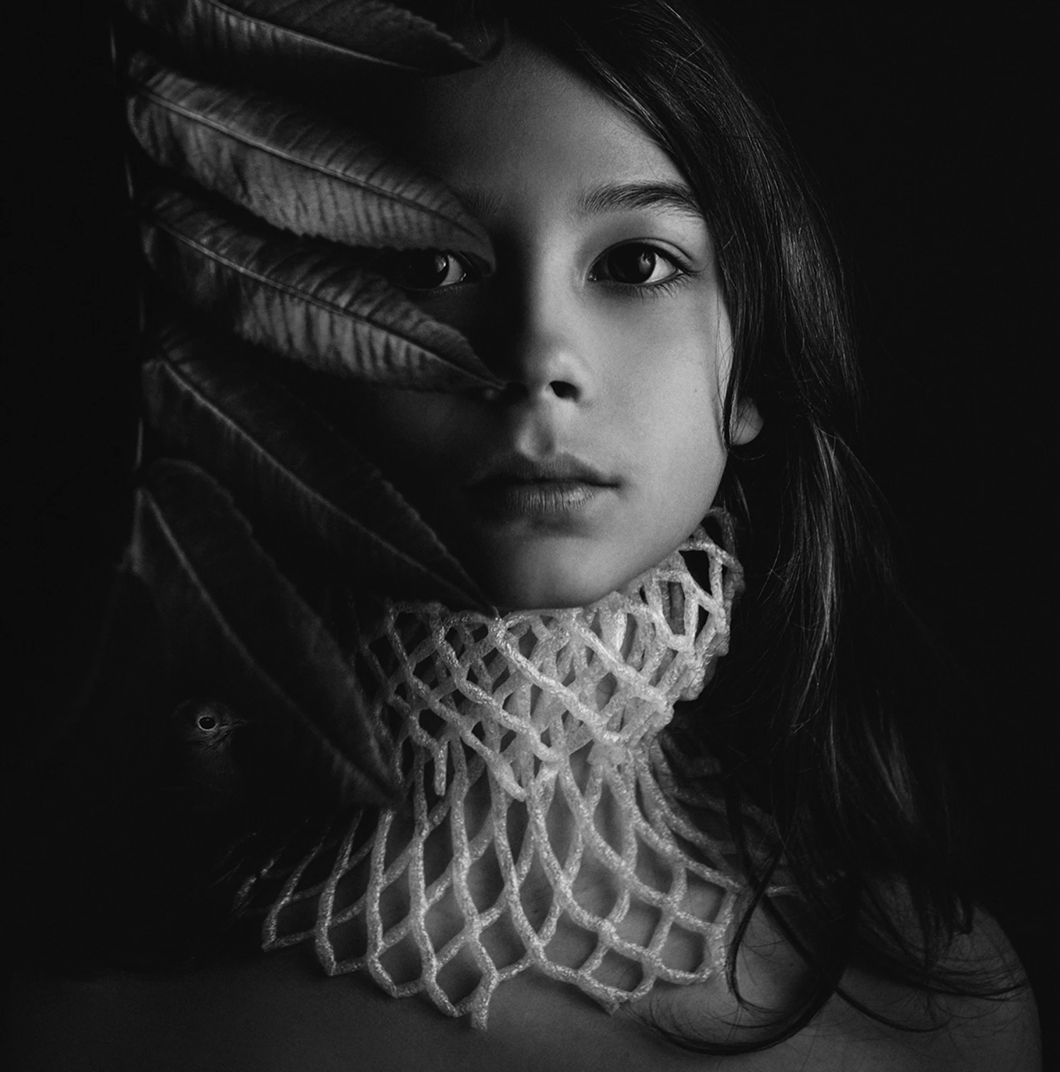 Piękno nietrwałości