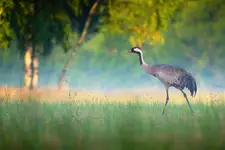 Dzień jak co dzień 