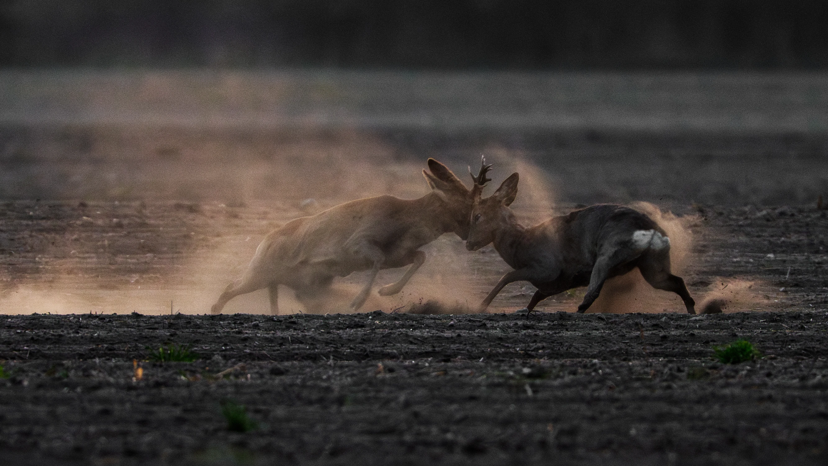 Pozowanie master level 