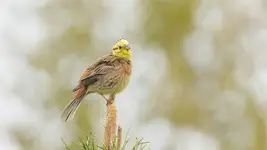 Nie siadam byle gdzie 