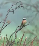 Tak troszkę w bałaganie