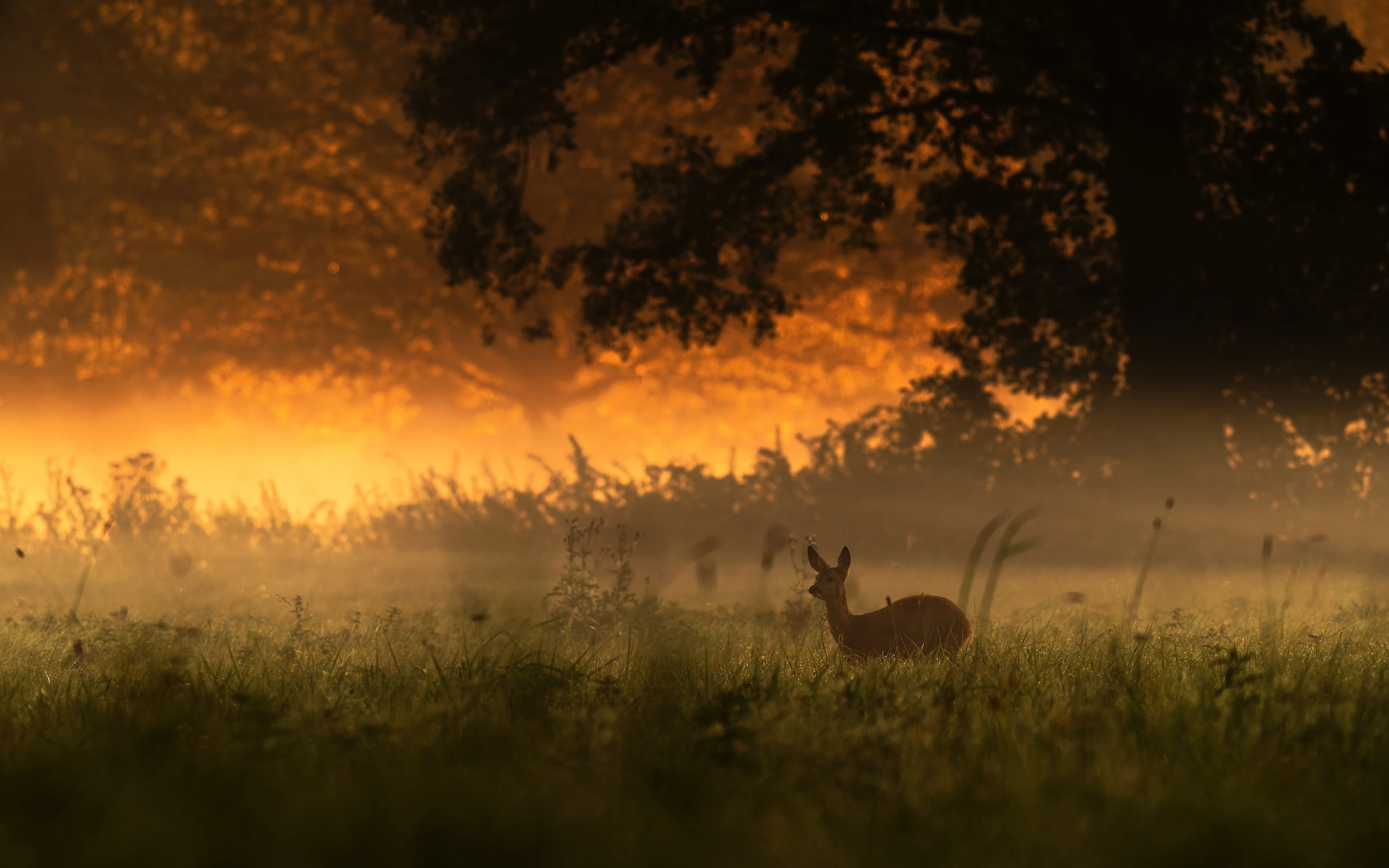 "Tu będę ładnie wyglądała"