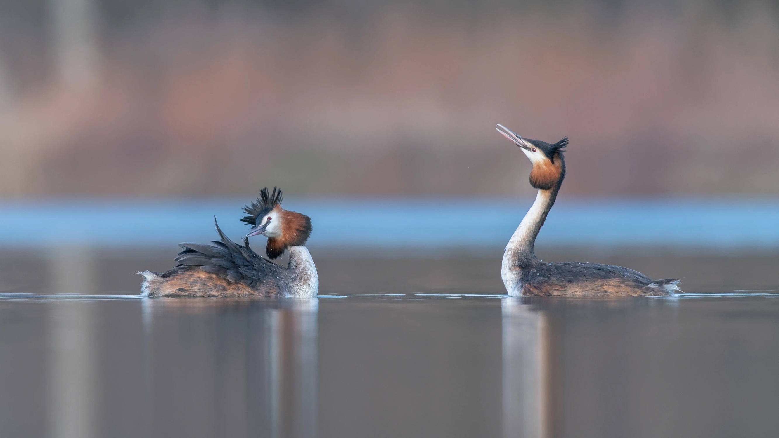 No ładniej  nie będzie 