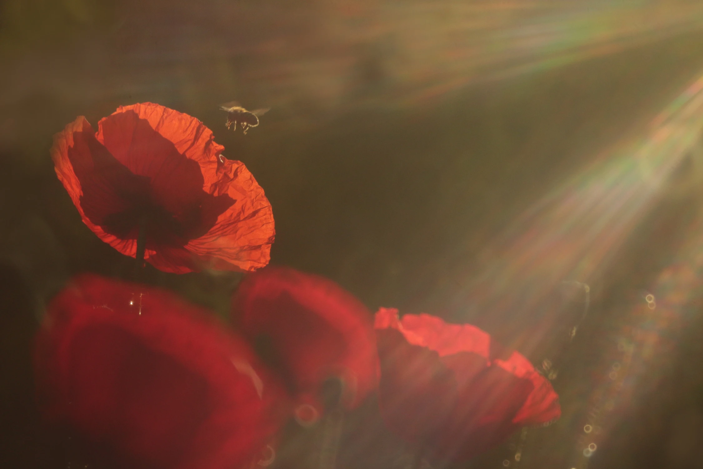 Gdzie zaczyna się wszechświat ...