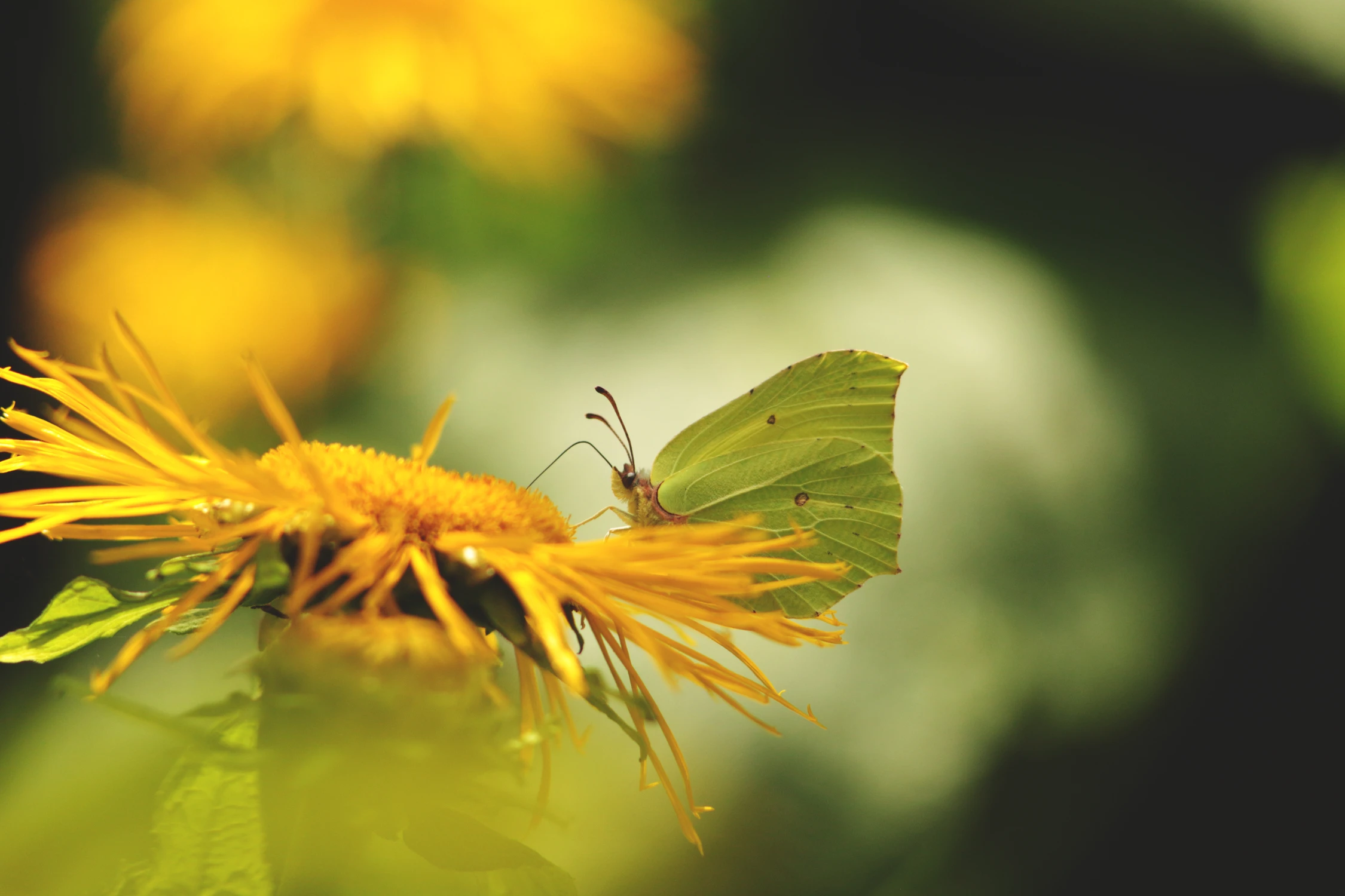 So I can hold up the light in the dark...