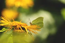 So I can hold up the light in the dark...