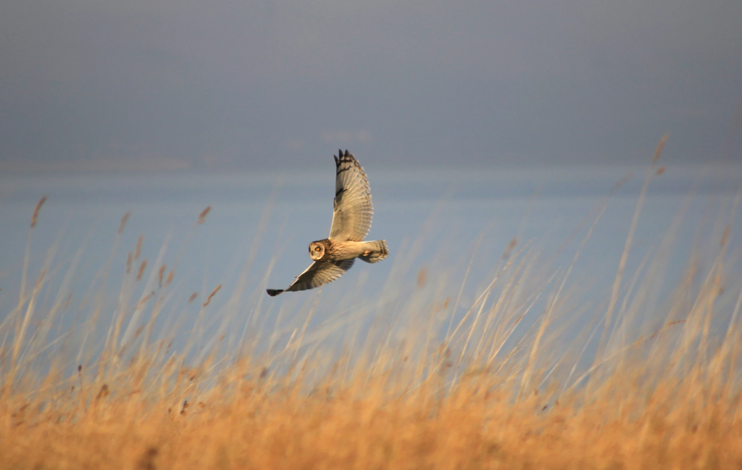 Przyjemne miejsce na ziemi ...