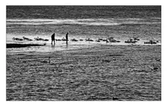 Jaki będzie nasz ślad?