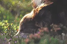 odbicie Twoich snów...