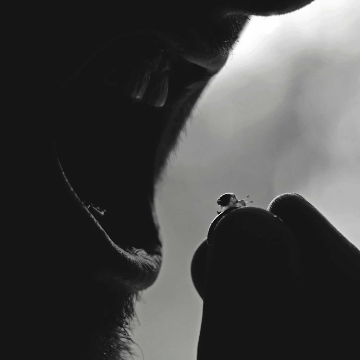 ostatnia ucieczka ślimaczka :)