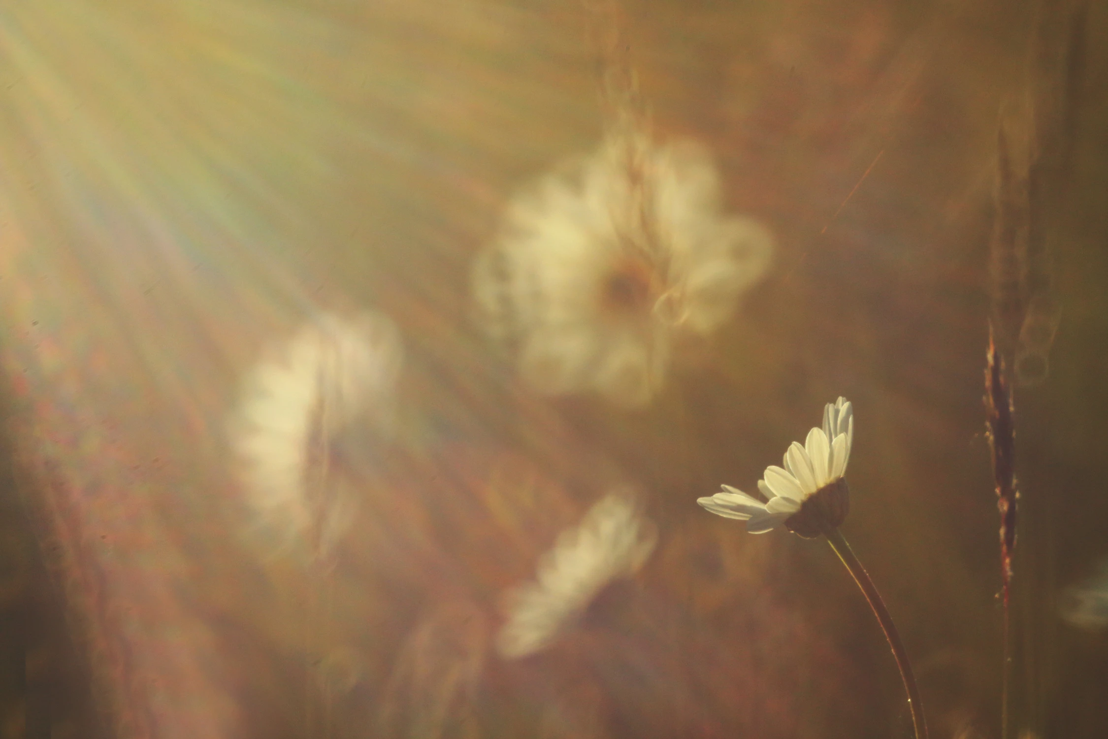 Ciepłe wspomnienia...