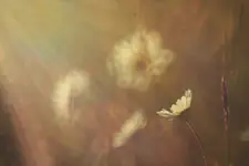 Ciepłe wspomnienia...