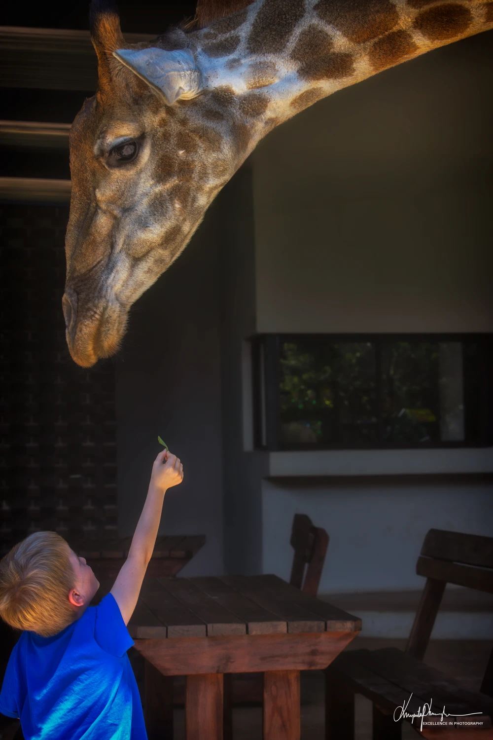 Każdemu trzeba dać jeść