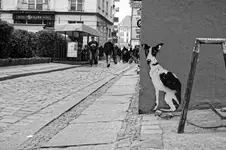 zabierz mnie do domu