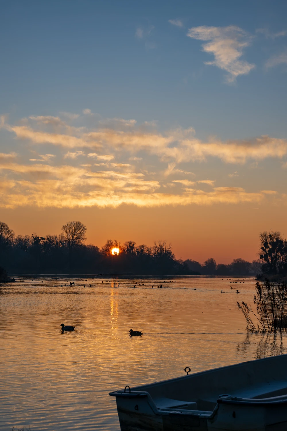 Odra - Ścinawa Polska