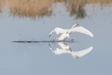 Lądowanie