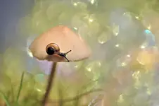 Mały w wielkim świecie